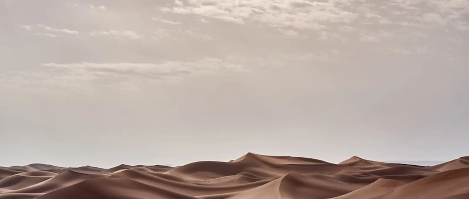 Pale dunes under a soft sky.